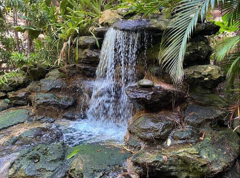 Marie Selby Botanical Gardens Downtown Sarasota, United States